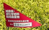 低農薬自然栽培米 栄週米